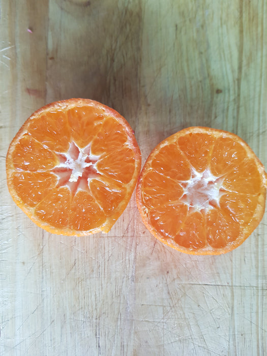 Air Flown Fresh Sweet & Seedless Bodrum Mandarin Approx 800g