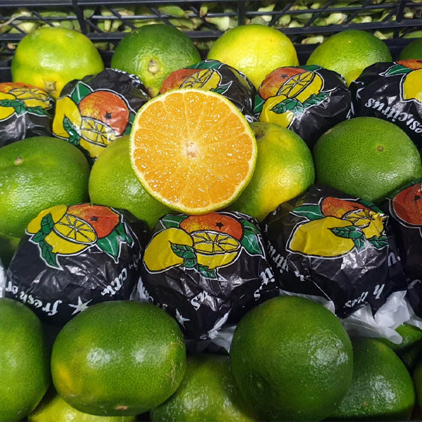 Air Flown Fresh Bodrum Green Mandarins Approx 1kg