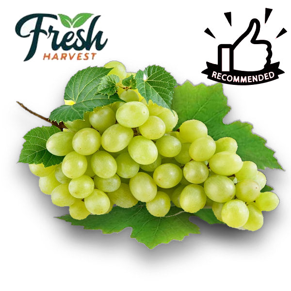 Air-Flown Fresh Sultana Grapes Seedless 500g