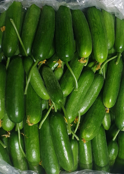 Air Flown Fresh Turkish Cucumbers 500g