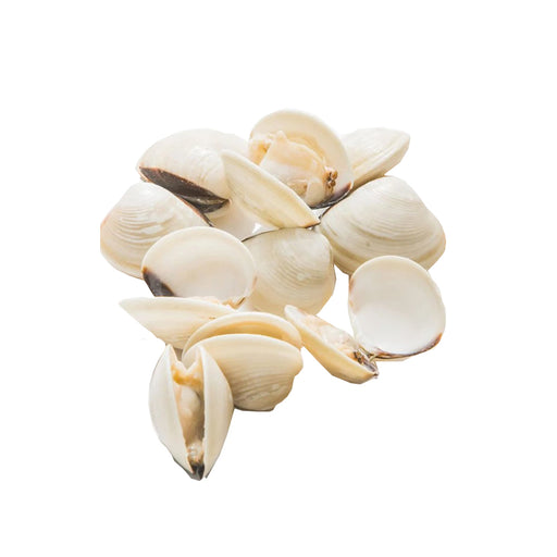 Frozen Whole Shell White Clams - LeMed