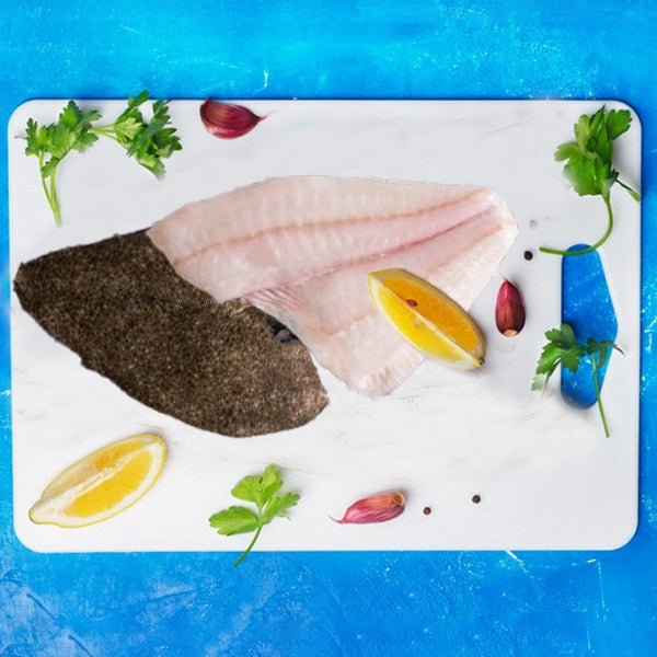 Frozen Mediterranean Turbot (Kalkan) Fillet 425g