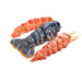 Atlantic Wild Caught Lobster Tails (Frozen) - LeMed