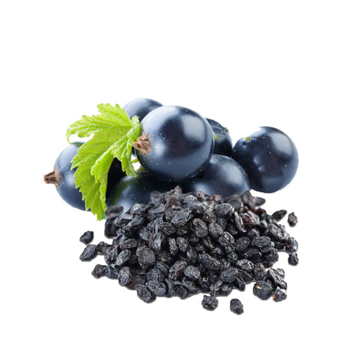 Dried Black Currants - LeMed