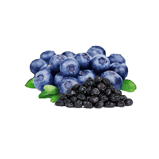 Dried Blueberries - LeMed