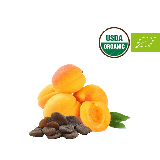 Organic Dried Apricots - LeMed
