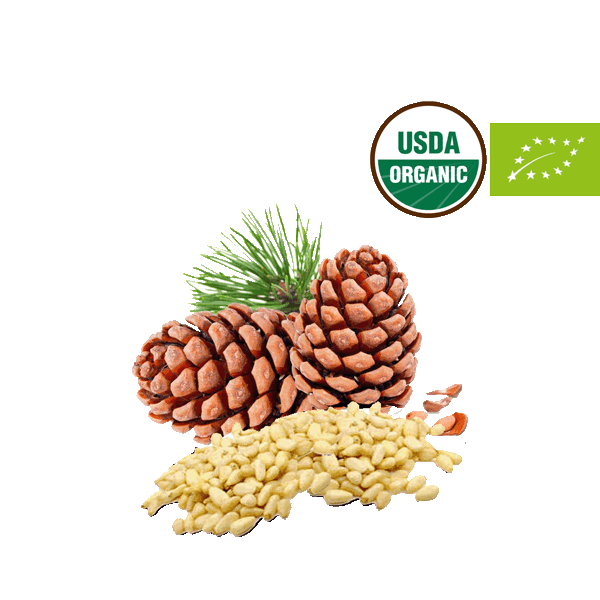 Organic Pine nut - LeMed